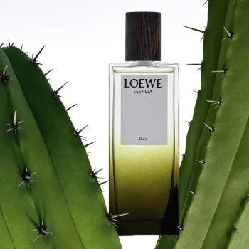 LOEWE ELIXIR ESSENCE eau de parfum 100 ml Unisex