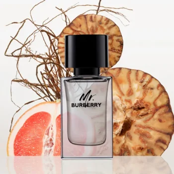 BURBERRY MR. BURBERRY eau de toilette 100 ml for Men