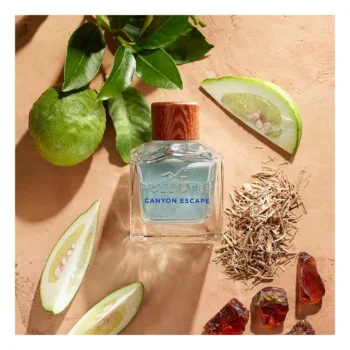 HOLLISTER CANYON ESCAPE FOR HIM eau de toilette spray 100 ml for Men